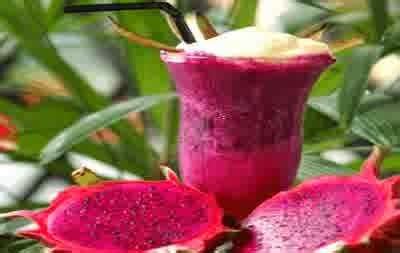 Resep Cara Membuat Jus Buah Naga Sehat