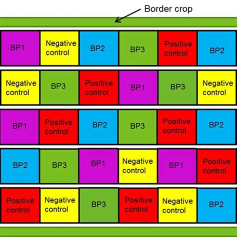 2 Example of a Randomized Complete Block Design with three blocks, and ...