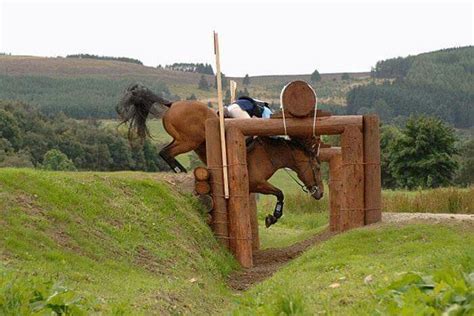 Pin by Lisa Howard on Accidents | Funny horses, Horses, Eventing