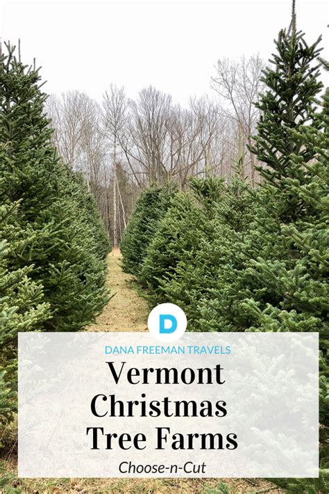 Dana Freeman Travels Vermont Christmas Tree Farms | Dana Freeman Travels