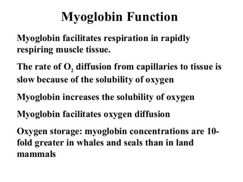 Bark3304 lecture 11