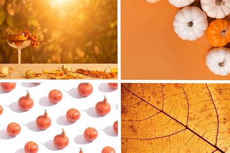 Premium Photo | Autumn collage with shades of orange fall concept