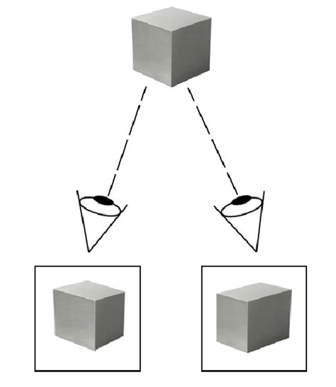 A simplified example of stereoscopic vision, with the left and right ...