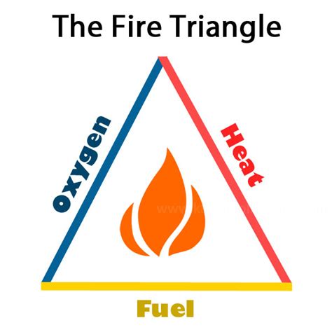 Combustion Facts for Kids | The Fire Triangle | Chemical Reactions