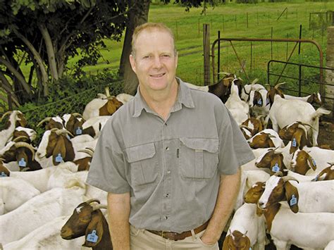 The Boer goat: a winning investment | Farmer's Weekly