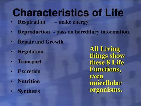 PPT - Characteristics of Life PowerPoint Presentation, free download ...