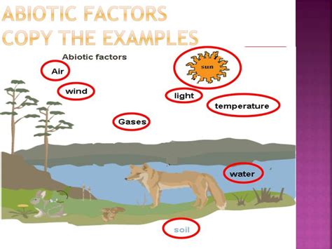 PPT - -Biotic - Abiotic -Tropism -Limiting Factors PowerPoint Presentation - ID:2416187