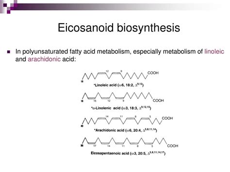 PPT - EICOSANOIDS PowerPoint Presentation, free download - ID:588611