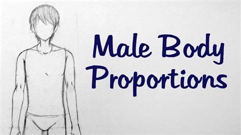 How to Draw Manga: Male Body Proportions - YouTube