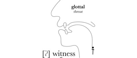 Plosive Consonant Sounds - The Sound of English