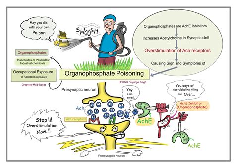 organophosphate pesticides toxicity – organophosphate pesticides common ...