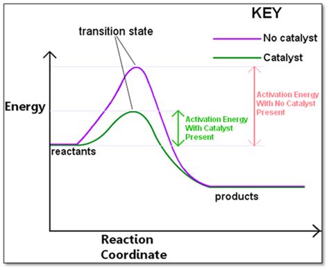 Illustrate graphically the effect of catalyst on activation energy