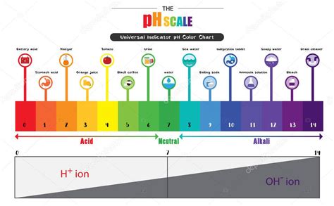 The pH scale Universal Indicator pH Color Chart diagram — Stock Vector © pui2motif.gmail.com ...