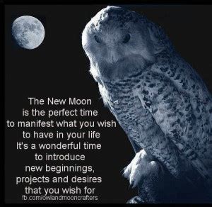 Owl Moon Quotes. QuotesGram