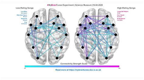 Is graph theory the key to understanding the brain?