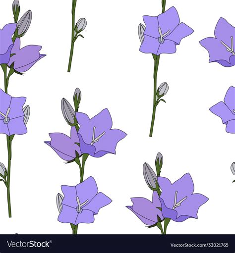 Hand drawn campanula flower seamless pattern Vector Image