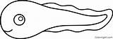 Tadpole Coloring Pages 20 Free Printables  ColoringAll sketch template