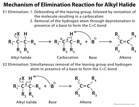 Elimination Reaction: Definition, Examples, Mechanism, and Applications