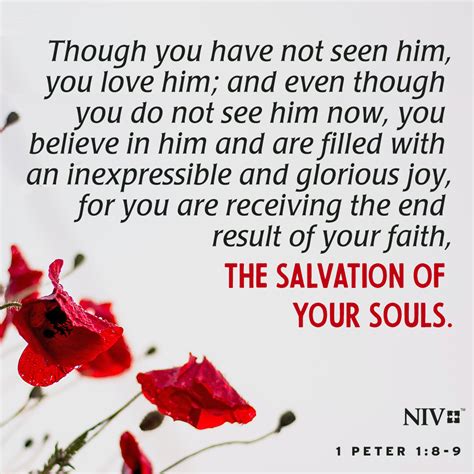 NIV Verse of the Day: 1 Peter 1:8-9