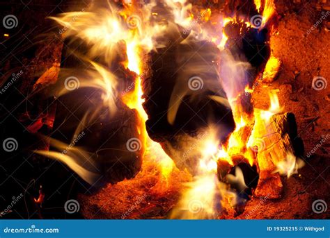 Burning campfire stock image. Image of darkness, night - 19325215