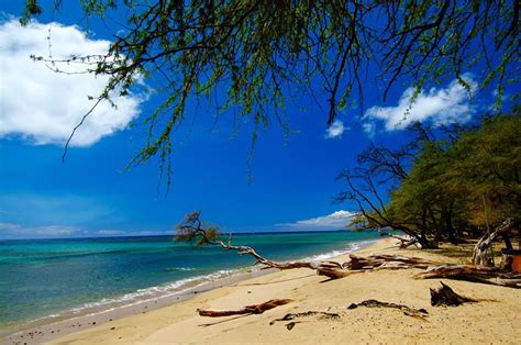 Papalaua Beach Park, Maui | To-Hawaii.com