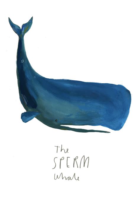 Sperm Whale Limited Edition Illustration Print By FayeBradleyShop - Cliparts.co