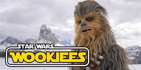 Star Wars: Everything You Should Know About Wookiees - Bell of Lost Souls