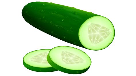 Cucumber Clipart | Free download on ClipArtMag