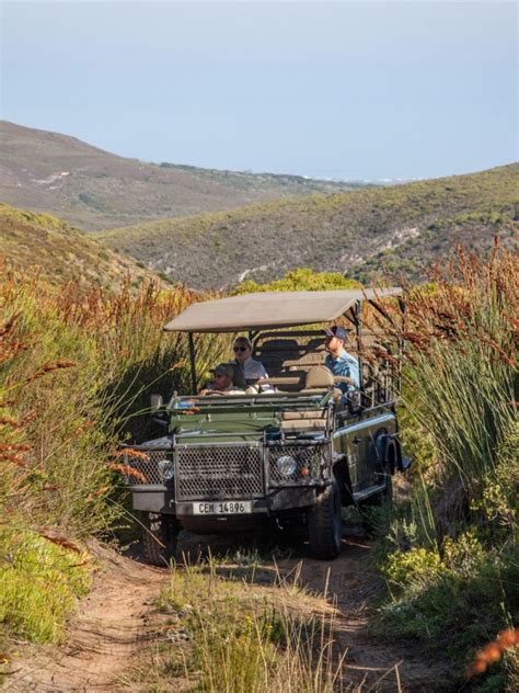 Niarra Travel | Grootbos Forest Lodge