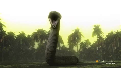 Titanoboa vs T-Rex Smithsonian Magazine