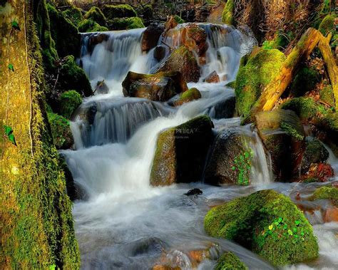 Free Screensavers Wallpapers of Waterfalls - WallpaperSafari