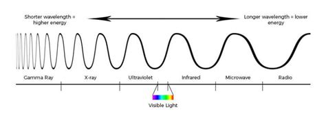 Choosing Ultraviolet Light Bulbs | Lightbulbs Direct