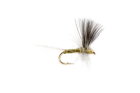 Blue Winged Olive Thorax | Fulling Mill Fly