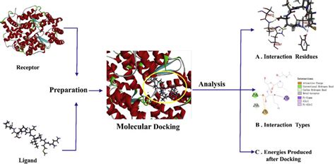 General procedures for molecular docking. | Download Scientific Diagram