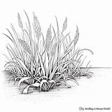 Grass Coloring Pages  Free & Printable sketch template