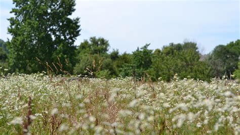 Piscataway Park | Accokeek Foundation | Maryland