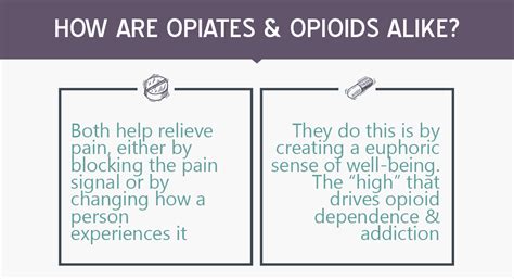 Opioid vs. Opiate: What's The Difference? | Addiction Treatment