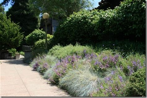 Wildlife Garden Design Tip: Plant in Masses ⋆ North Coast Gardening