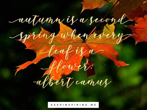 Quotes About Fall