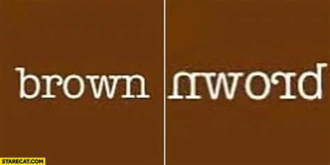 Word brown spelt backwards in a mirror looks like nword | StareCat.com