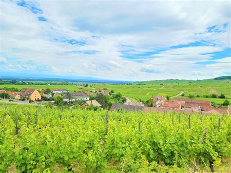 Itinerary for 3 Days on the Alsace Wine Route + Travel Guide - SHORT GIRL ON TOUR