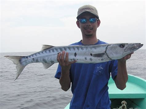 How to Catch Great Barracuda - Tips for Fishing for Barracuda