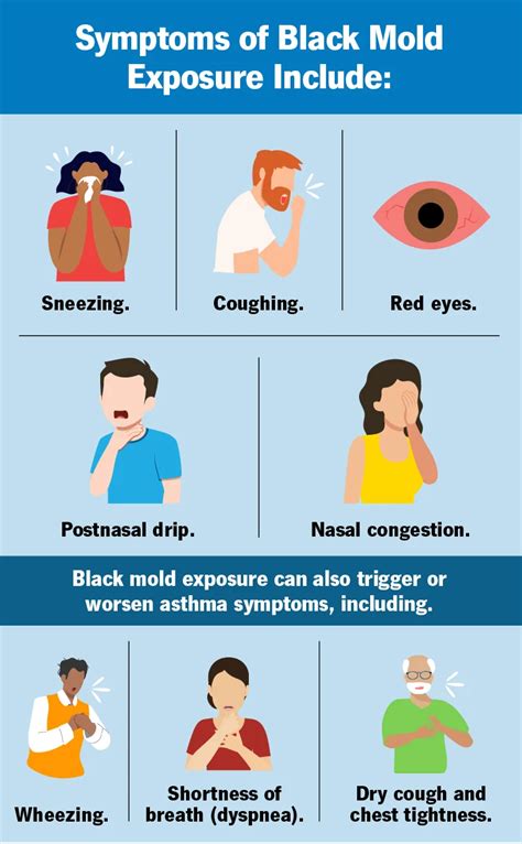Mold Toxicity Symptoms - Diagnosis And Recovery Strategies
