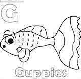 Guppy Coloring Pages PDF  Coloringfoldercom Animal coloring sketch template
