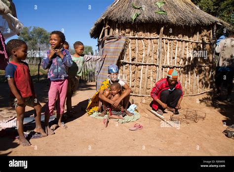 life in a san village in namibia, africa Stock Photo - Alamy