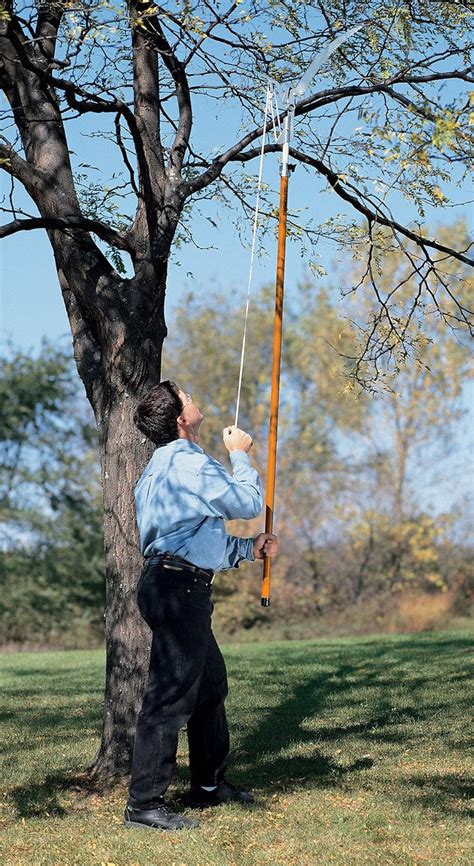 14 Ft Pole No Ladder Thick Branch Tree Limb Cutter Pruner Trimmer FREE SHIP! | eBay