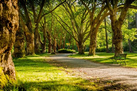 Take a Walk in the Park Day: Dr. Hunter gives tips on exercise during ...