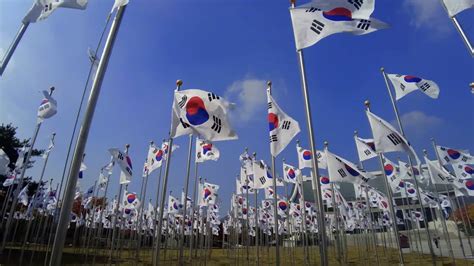 Numerous Korean Flags Waving at the History Museum in Cheonan Free Stock Video Footage, Royalty ...