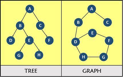 Tree Graph In Graph Theory