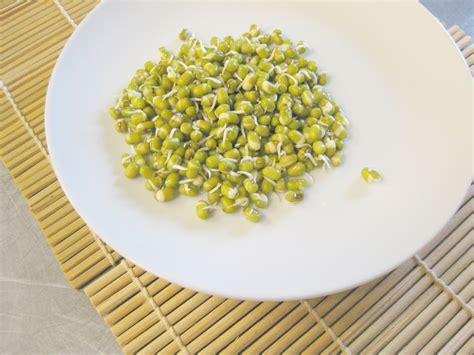 Mung Bean Sprouts Fact, Health Benefits & Nutritional Value